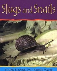 Enlarge image Cover: Slugs and Snails-PB - Children's Press(CT)
