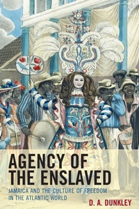 Abbildung von: Agency of the Enslaved - Lexington Books