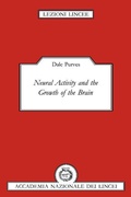 Cover: Neural Activity and the Growth of the Brain - Cambridge University Press
