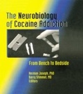 Bild: The Neurobiology of Cocaine Addiction - Routledge
