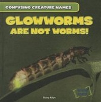 Enlarge image Cover: Glowworms Are Not Worms! - Gareth Stevens Publishing