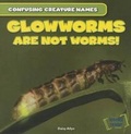 Cover: Glowworms Are Not Worms! - Gareth Stevens Publishing