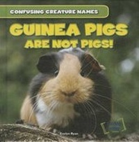 Enlarge image Cover: Guinea Pigs Are Not Pigs! - Gareth Stevens Publishing