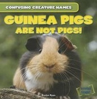 Enlarge image Cover: Guinea Pigs Are Not Pigs! - Gareth Stevens Publishing