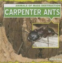 Enlarge image Cover: Carpenter Ants - Gareth Stevens Publishing