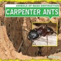 Cover: Carpenter Ants - Gareth Stevens Publishing
