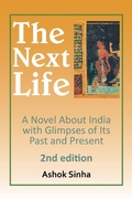 Cover: The Next Life - Xlibris