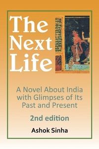 Enlarge image Cover: The Next Life - Xlibris