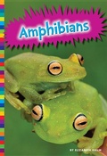 Cover: Amphibians - Amicus High Interest