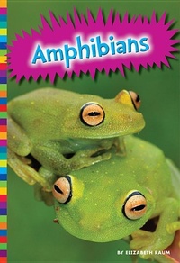 Enlarge image Cover: Amphibians - Amicus High Interest