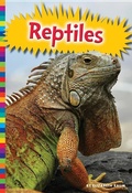 Cover: Reptiles - Amicus High Interest