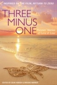 Enlarge image Cover: Three Minus One - She Writes Press
