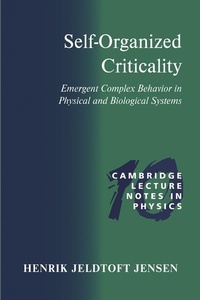 Abbildung von: Self-Organized Criticality - Cambridge University Press
