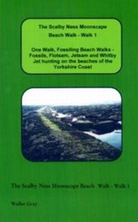 Abbildung von: The Scalby Ness Moonscape Beach Walk - Walk 1 - Wolfer Gray