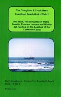 Abbildung von: The Cloughton & Crook Ness Fossilised Beach Walk - Walk 2 - Wolfer Gray