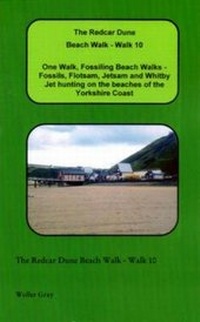 Abbildung von: The Redcar Dune Beach Walk - Walk 10 - Wolfer Gray