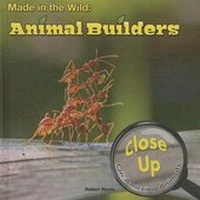 Enlarge image Cover: Made in the Wild - Rourke Educational Media