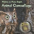 Cover: Hidden in Plain Sight - Rourke Educational Media