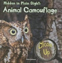 Enlarge image Cover: Hidden in Plain Sight - Rourke Educational Media