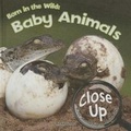 Cover: Born in the Wild - Rourke Educational Media