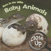 Enlarge image Cover: Born in the Wild - Rourke Educational Media