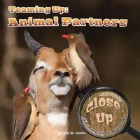 Enlarge image Cover: Teaming Up - Rourke Educational Media