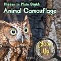 Cover: Hidden in Plain Sight - Rourke Educational Media