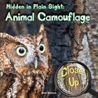 Enlarge image Cover: Hidden in Plain Sight - Rourke Educational Media