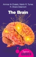 Cover: The Brain - Oneworld Publications