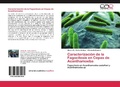 Cover: Caracterizacion de la Fagocitosis en Cepas de Acanthamoeba - Editorial Acad&eacute;mica Espa&ntilde;ola