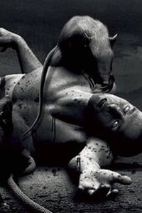 Enlarge image Cover: The Rats Trilogy - Centipede Press
