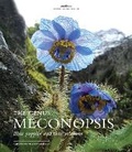 Cover: Genus Meconopsis, The - Kew Publishing
