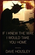 Cover: If I Knew the Way, I Would Take You Home - Dzanc Books