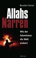 Cover: Allahs Narren - Merlin Verlag