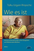 Cover: Wie es ist - Band 2 - JOY Verlag