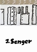 Cover: Der Maler Jochen Senger - Edition Virgines