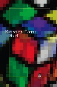 Enlarge image Cover: Pixel - LZ.Nischen Verlag