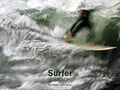 Cover: Surfer (Eisbach) - Heike Werner Verlag