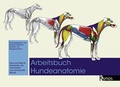 Cover: Arbeitsbuch Hundeanatomie - Kynos