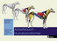 Abbildung von: Arbeitsbuch Hundeanatomie - Kynos