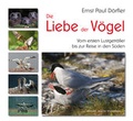 Cover: Die Liebe der V&ouml;gel - Stekovics, J