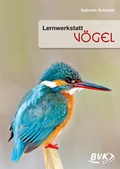 Cover: Lernwerkstatt V&ouml;gel - BVK Buch Verlag Kempen