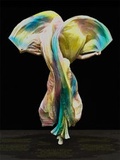 Cover: Birds of Paradise. Costume as Cinematic Spectacle - K&ouml;nig, Walther