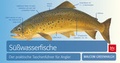Cover: S&uuml;&szlig;wasserfische - BLV