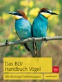 Cover: Das BLV Handbuch V&ouml;gel - BLV