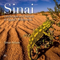 Abbildung von: Sinai - The American University in Cairo Press