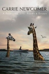 Enlarge image Cover: A Permeable Life - Available Light Publishing