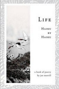 Enlarge image Cover: Life - Birdsong Publishing