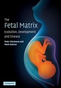 Cover: The Fetal Matrix: Evolution, Development and Disease - Cambridge University Press
