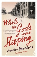 Cover: While the Gods Were Sleeping - Pushkin Press